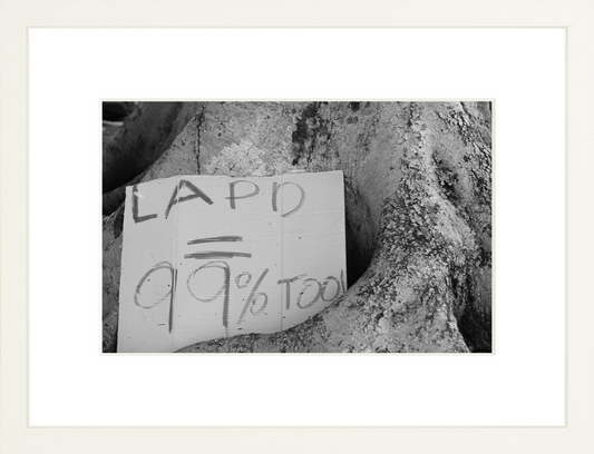 Occupy Los Angeles re1-05 Fine Art Print